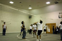 volleyball 136_filtered.jpg 6.7K